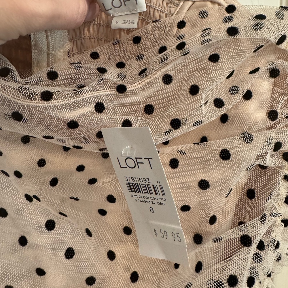 LOFT Black Dot Mesh Skirt